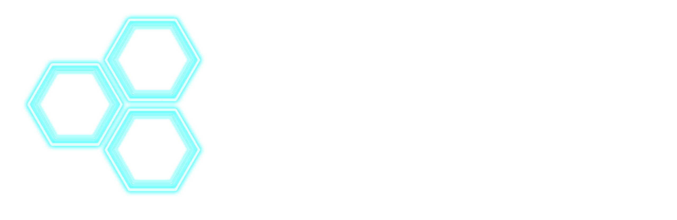 KINKONISM